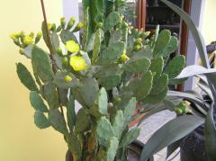 Obr�zok (6)